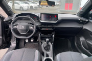 208 1.0 FIREFLY FLEX STYLE MANUAL 2024 Miniatura 208 1.0 FIREFLY FLEX STYLE MANUAL 2024 Miniatura