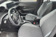 208 1.0 FIREFLY FLEX STYLE MANUAL 2024 Miniatura 208 1.0 FIREFLY FLEX STYLE MANUAL 2024 Miniatura